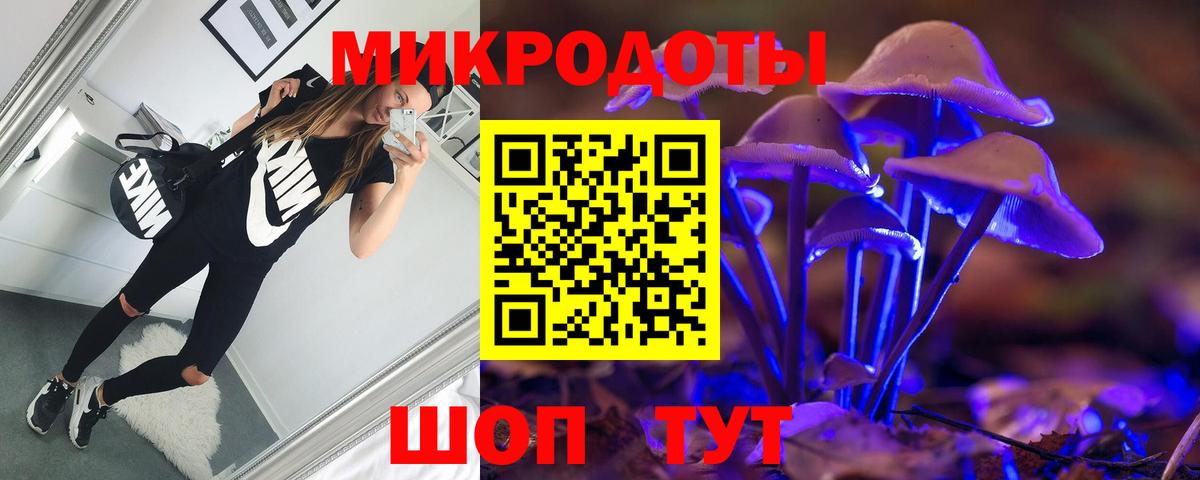 Галлюциногенные грибы Psilocybine cubensis  Вход с VPN  Верхний Уфалей 