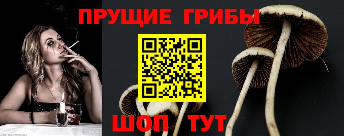 Псилоцибиновые грибы прущие грибы Верхний Уфалей
